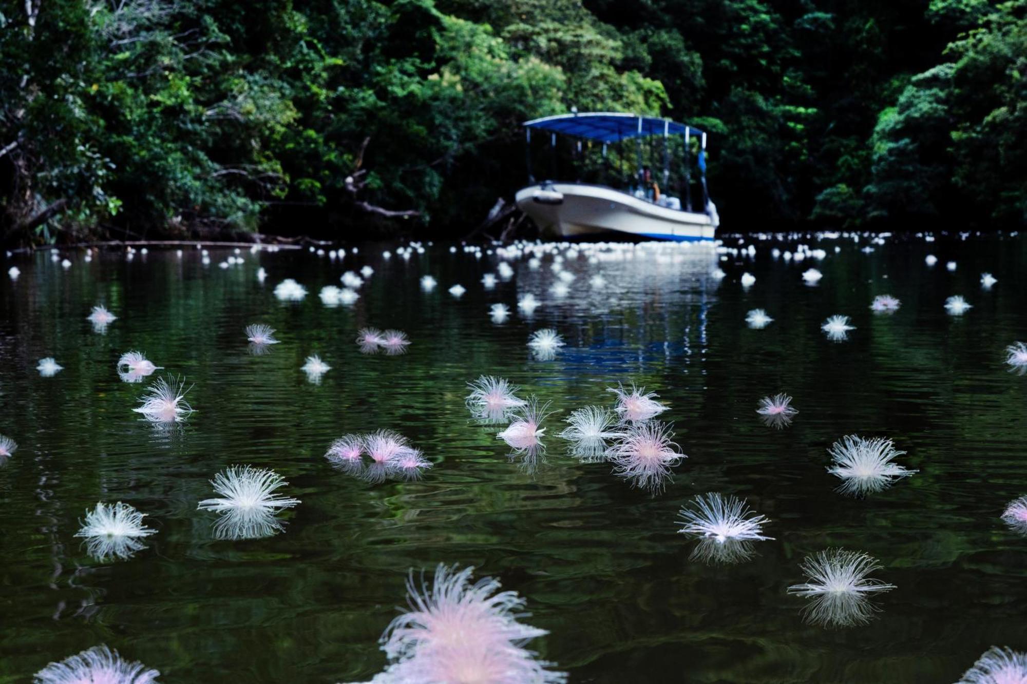 Iriomote Hotel By Hoshino Resorts Urauchi Esterno foto