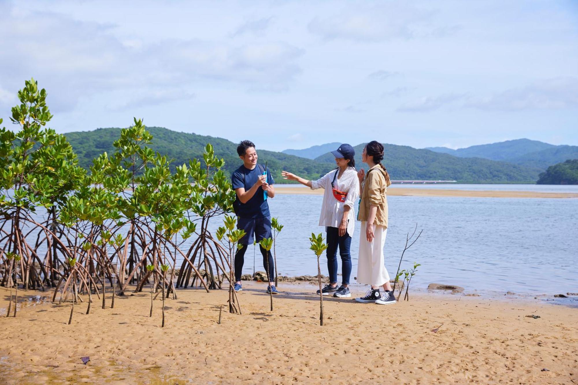Iriomote Hotel By Hoshino Resorts Urauchi Esterno foto